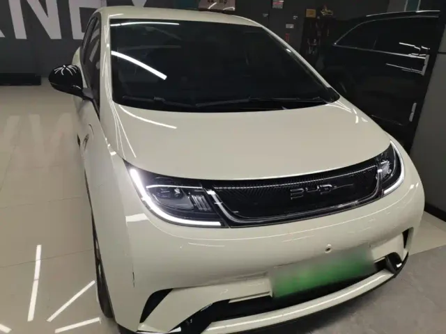 BYD Dolphin — Фото автомобиля 2