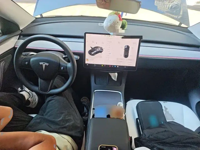 Tesla Model Y — Фото автомобиля 10