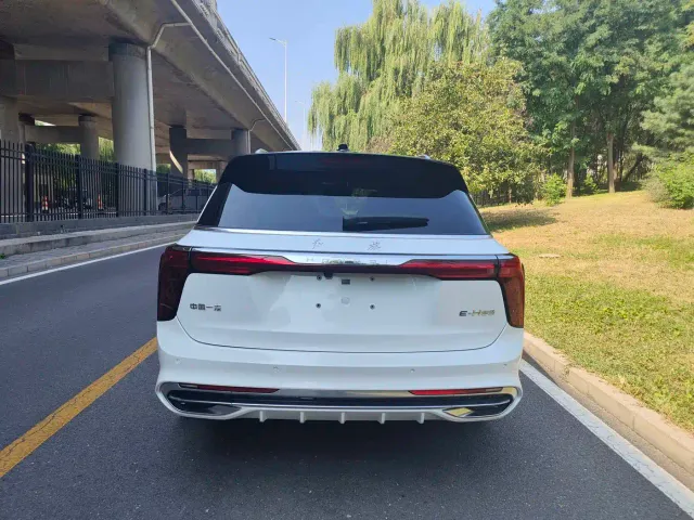 Hongqi E-HS9 — Фото автомобиля 4