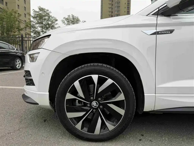 Skoda Karoq — Фото автомобиля 14