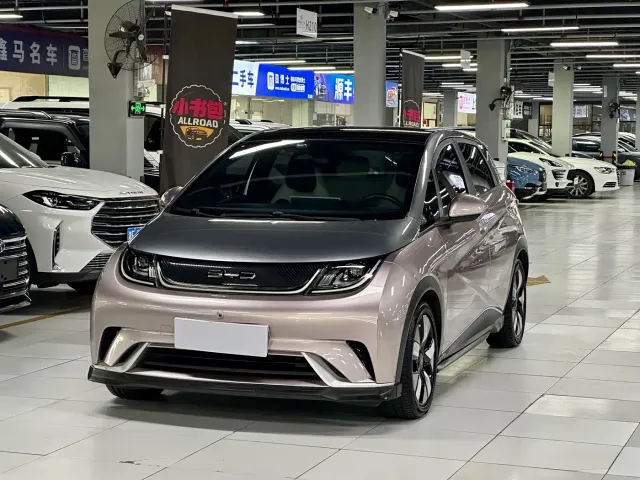 Фотография автомобиля — BYD Dolphin