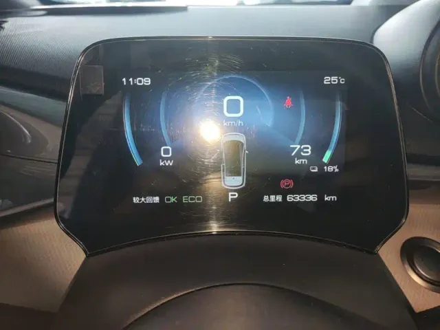 BYD Dolphin — Фото автомобиля 11