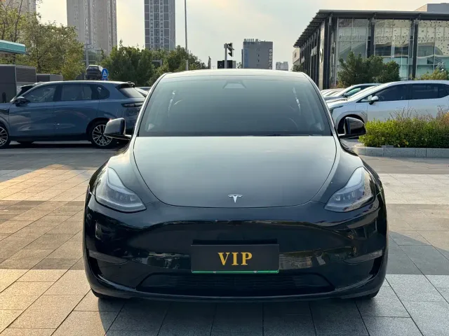 Tesla Model Y — Фото автомобиля 2