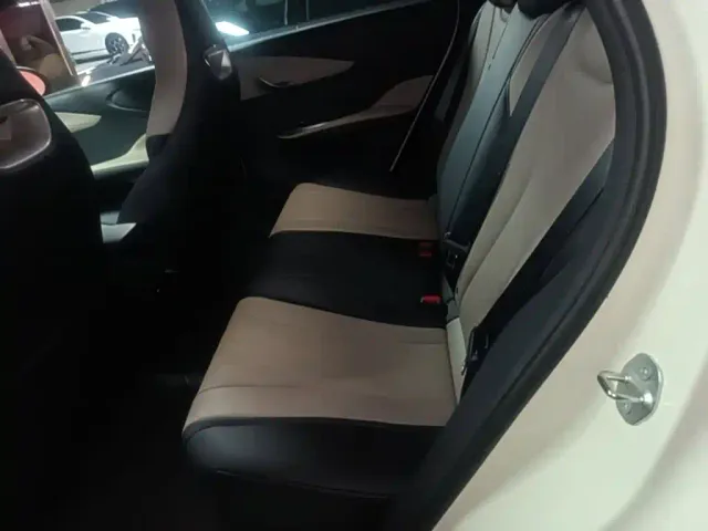 BYD Dolphin — Фото автомобиля 16