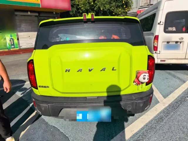 Haval Cool Dog — Фото автомобиля 3