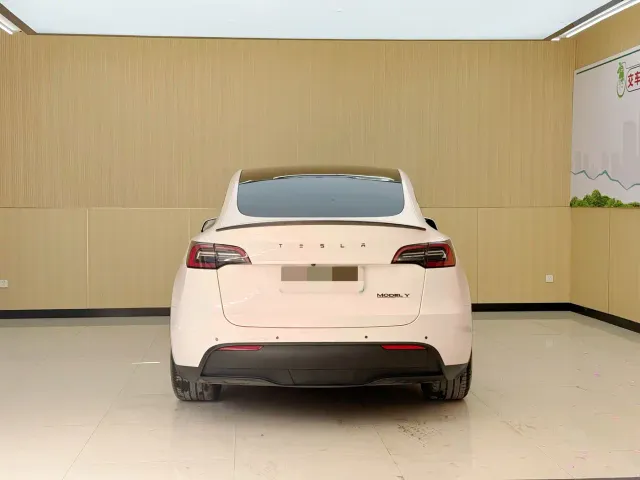 Tesla Model Y — Фото автомобиля 16