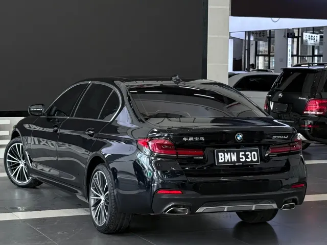 BMW 5 Series — Фото автомобиля 4