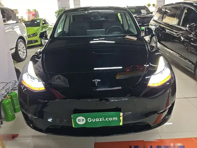 Tesla Model Y — Фото автомобиля 2