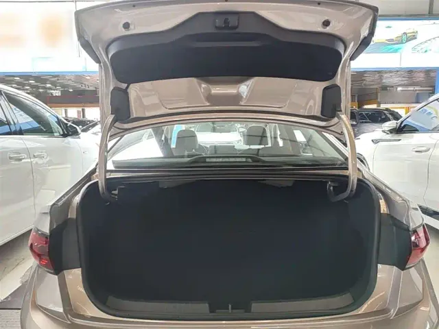 Volkswagen Sagitar — Фото автомобиля 18