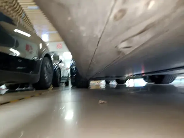 Tesla Model Y — Фото автомобиля 20