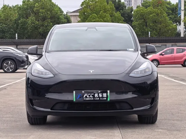 Tesla Model Y — Фото автомобиля 2