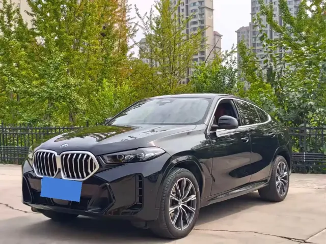 BMW X6 — Фото автомобиля 2