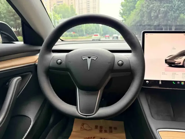 Tesla Model 3 2022 Model Rear-Wheel Drive Version — Фото автомобиля 14