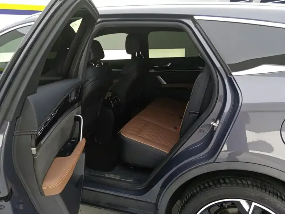 BYD Tang New Energy 2021 DM-i 112KM Honor — Фото автомобиля 11
