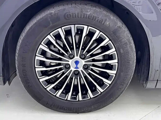 Denza D9 — Фото автомобиля 12