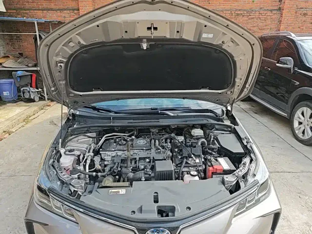 Toyota Corolla — Фото автомобиля 19