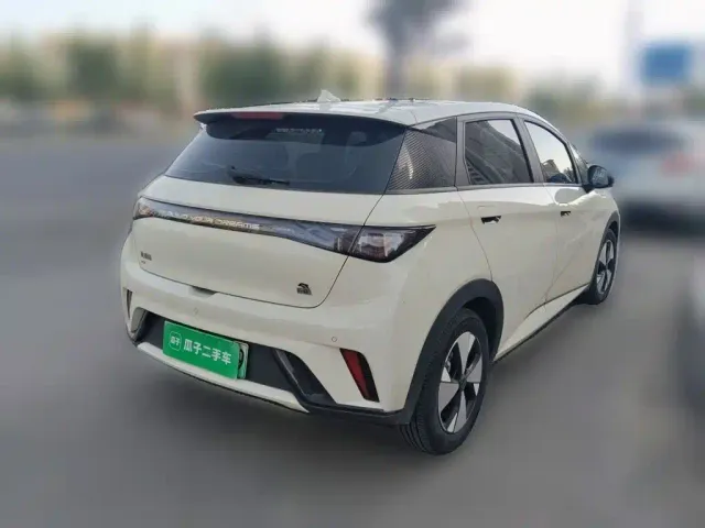 BYD Dolphin — Фото автомобиля 4