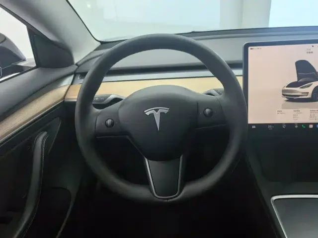Tesla Model 3 — Фото автомобиля 15