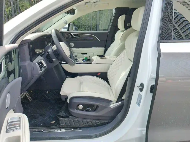 Hongqi Hongqi E-HS9 2022 660km Qi Ling Edition (4-seater) — Фото автомобиля 16