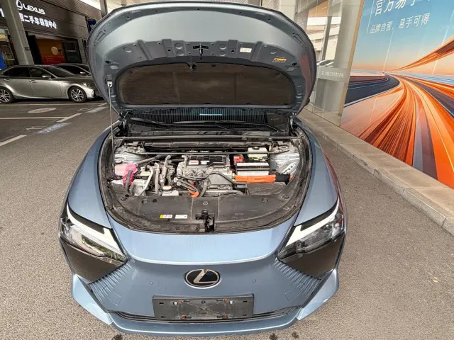 Lexus RZ — Фото автомобиля 7