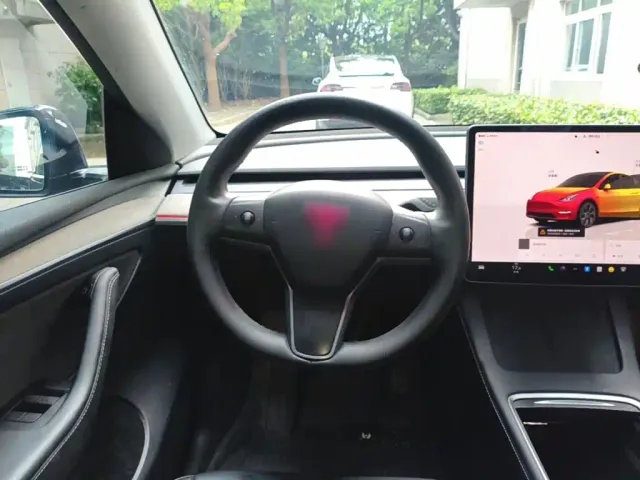 Tesla Model Y — Фото автомобиля 10
