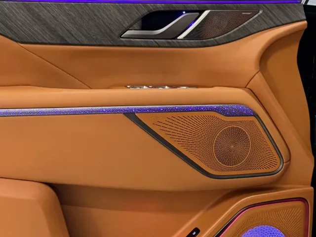 Wey Alpine — Фото автомобиля 6