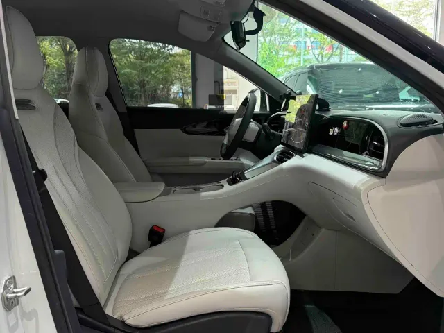 Geely Starry Wish — Фото автомобиля 21
