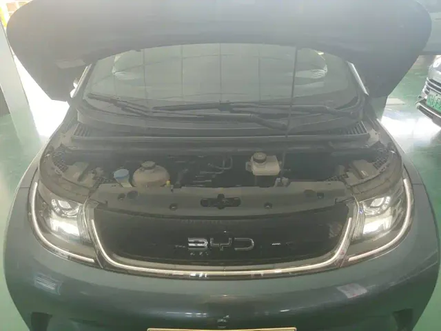 BYD Dolphin — Фото автомобиля 19