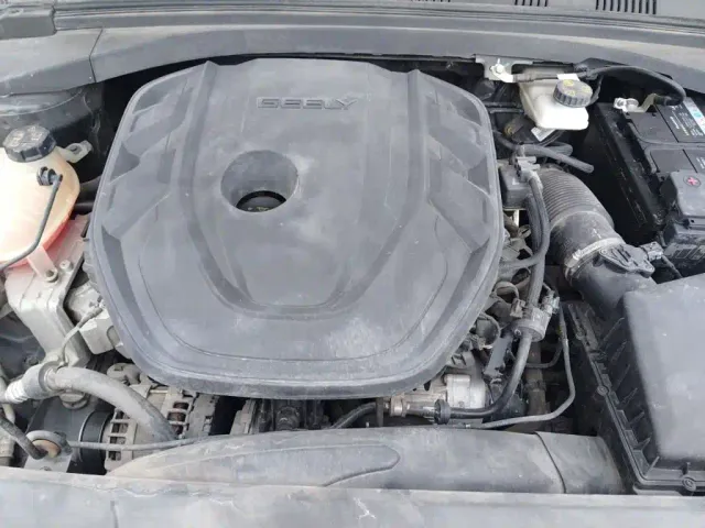 Geely Xing Rui 2021 Facelift 2.0TD Premium Model — Фото автомобиля 16