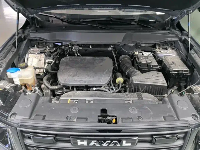 Haval Big Dog — Фото автомобиля 19