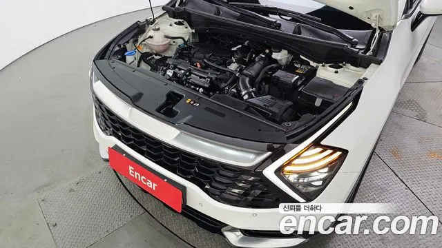 Kia Sportage Sportage 5-е поколение Бензин 1.6 турбо 2WD — Фото автомобиля 6