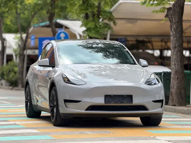 Tesla Model Y — Фото автомобиля 3