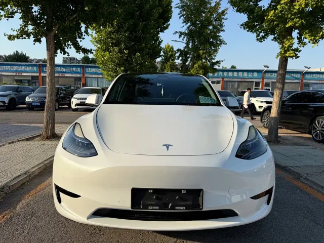 Tesla Model Y — Фото автомобиля 2