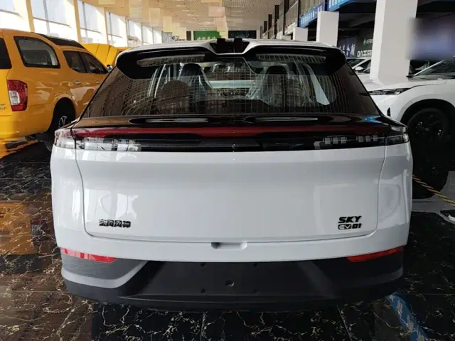 Dongfeng SKY EV01 — Фото автомобиля 5