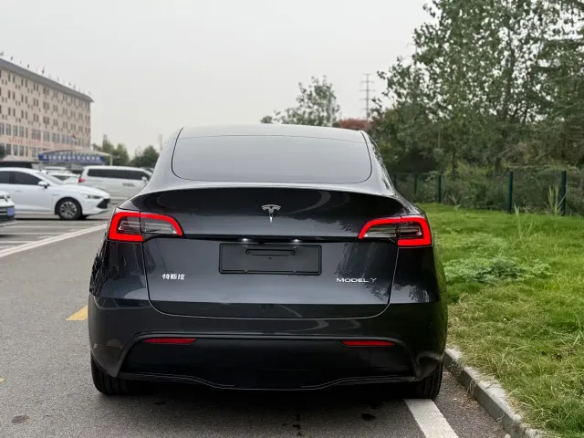 Tesla Model Y — Фото автомобиля 5