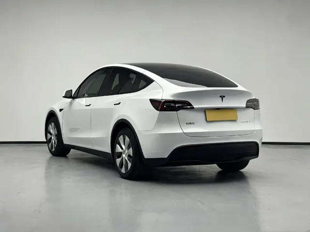 Tesla Model Y — Фото автомобиля 2