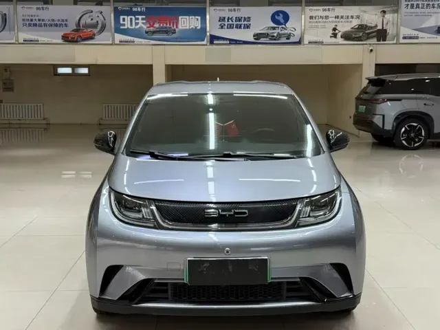 BYD Dolphin — Фото автомобиля 2