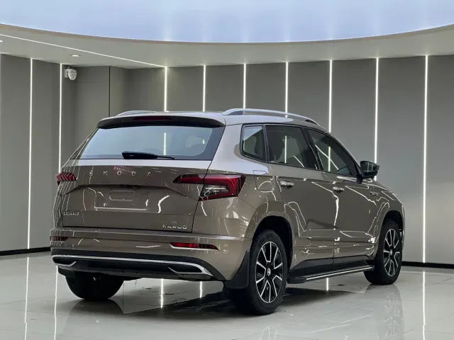 Skoda Karoq — Фото автомобиля 16