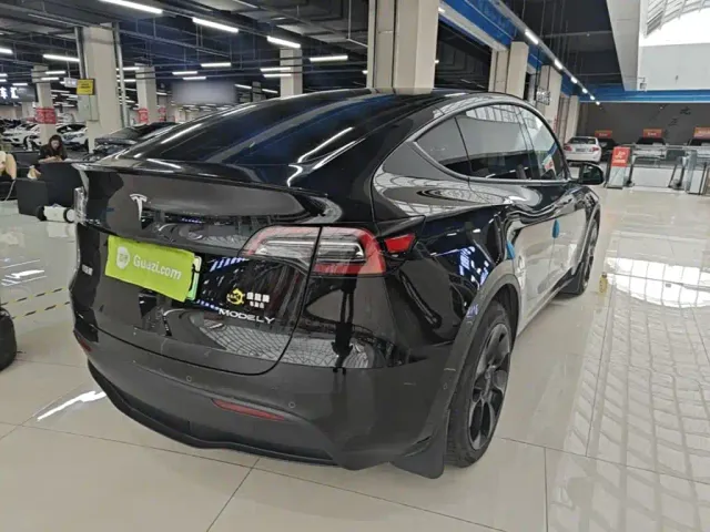 Tesla Model Y — Фото автомобиля 6