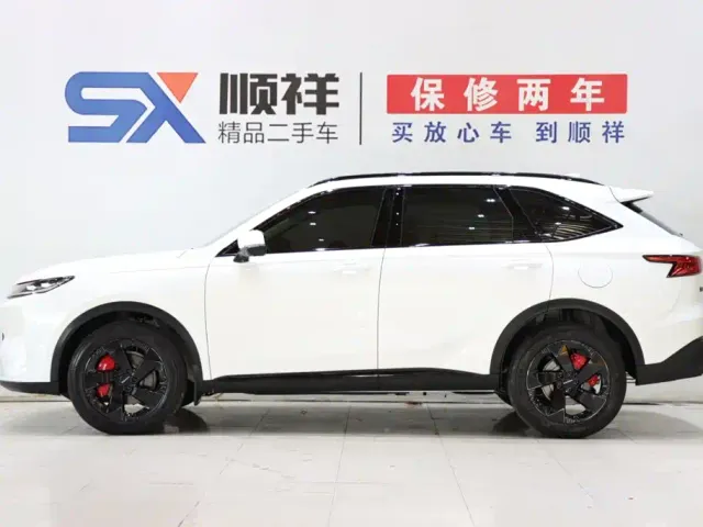 Haval H6L — Фото автомобиля 6