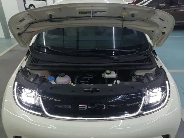 BYD Dolphin — Фото автомобиля 19