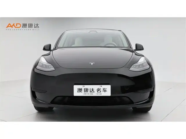 Tesla Model Y — Фото автомобиля 2