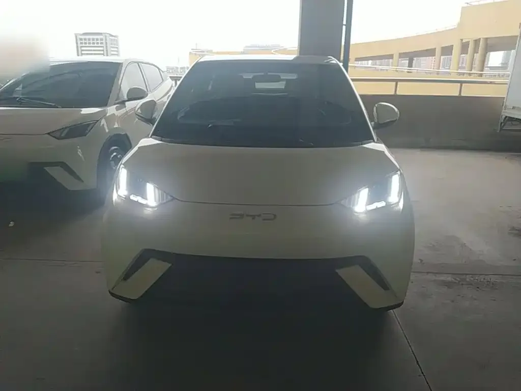 BYD Seagull 2025 305km Freedom — Фото автомобиля 2