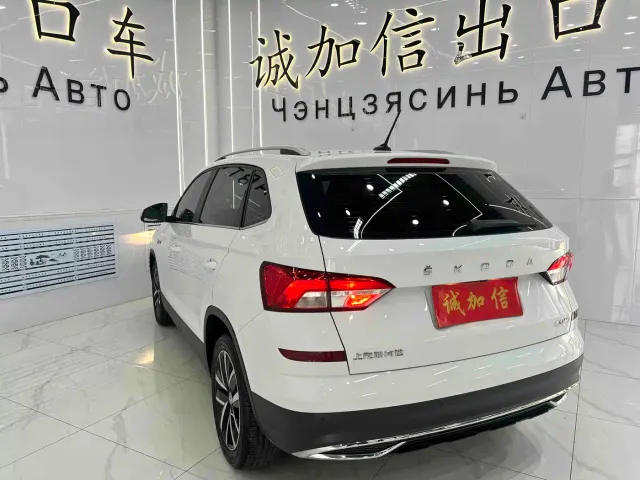 Skoda Kamiq — Фото автомобиля 6