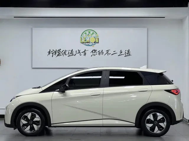 BYD Dolphin — Фото автомобиля 5
