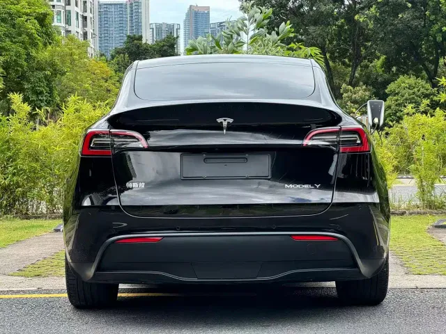 Tesla Model Y — Фото автомобиля 5