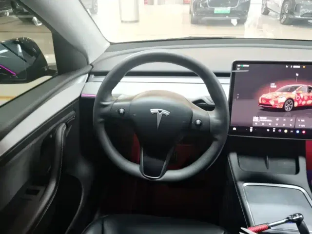 Tesla Model Y — Фото автомобиля 10