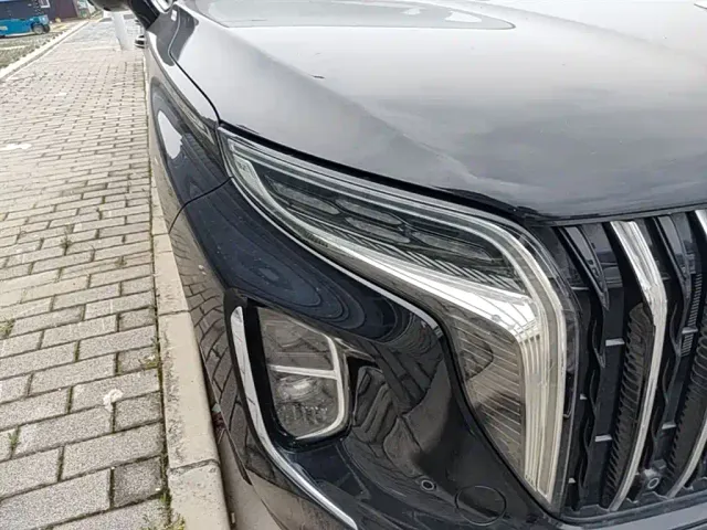 Hongqi HS7 PHEV — Фото автомобиля 13
