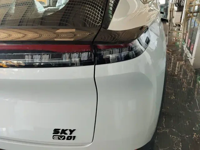 Dongfeng SKY EV01 — Фото автомобиля 7