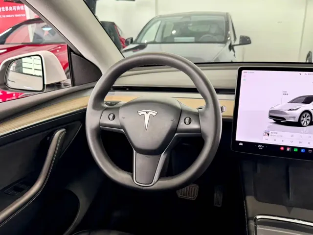 Tesla Model Y — Фото автомобиля 11